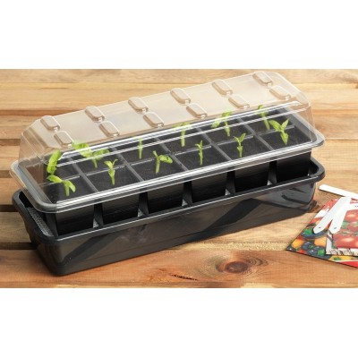 Kit de graines à arrosage automatique 12 cellules - Germination optimale