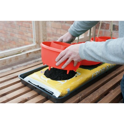 Halos de plantes (lot de 3) rouge