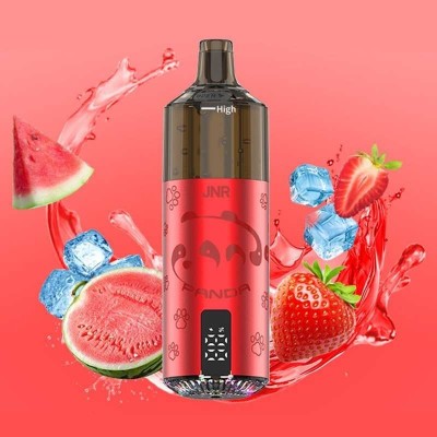 Puff Panda 25500 Strawberry Watermelon Ice JNR - Rechargeable 850mAh | Kana Pharma