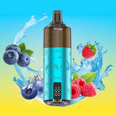 Puff Panda 25500 JNR Blueberry Raspberry - Batterie 850mAh Rechargeable