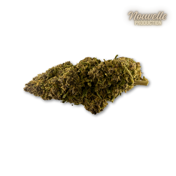 Fleur CBD Saphire Hybride Indoor