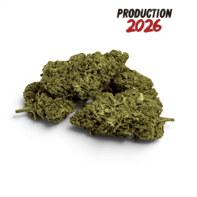 Fleur CBD Super Silver Haze Indoor 12% | Culture Italienne Premium | Kana Pharma