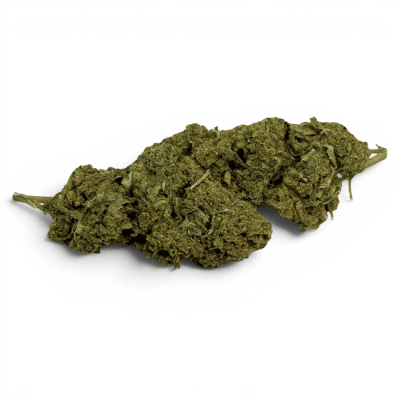 Fleur CBD Super Silver Haze Indoor 12% | Culture Italienne Premium | Kana Pharma