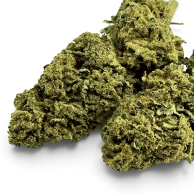 Fleur CBD Super Silver Haze Indoor 12% | Culture Italienne Premium | Kana Pharma