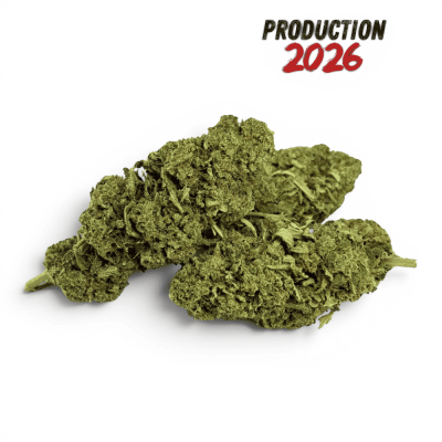 Fleur CBD Super Skunk Indoor 10% Premium | Kana Pharma