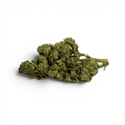 Fleur CBD White Dawg Indoor Premium - Qualité Italie | Kana Pharma