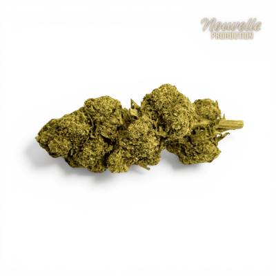 Fleur CBD Tropical Haze 2.0 CBDX Indoor 12,5% - Kana Pharma