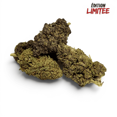 Fleur Purple Haze CBDX 20% Indoor | CBD Xtrem Premium | Kana Pharma