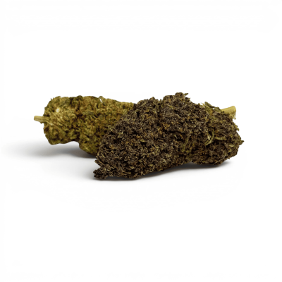 Fleur Purple Haze CBDX 20% Indoor | CBD Xtrem Premium | Kana Pharma