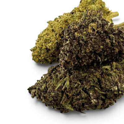 Fleur Purple Haze CBDX 20% Indoor | CBD Xtrem Premium | Kana Pharma