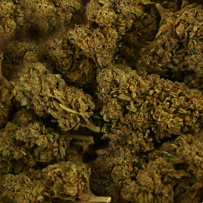 Fleur CBD Tonic Kush Greenhouse 4% - Arômes Complexes | Kana Pharma