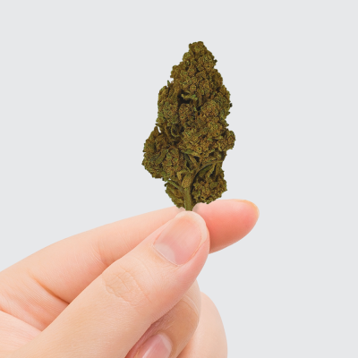 Fleur CBD Tonic Kush Greenhouse 4% - Arômes Complexes | Kana Pharma