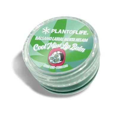 Baume Lèvres CBD CBG Menthe Plant of Life | Hydratation Naturelle | Kana Pharma