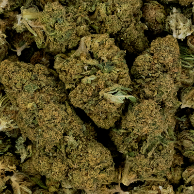 Fleur CBD White Dawg >16% - Greenhouse Italie | Kana Pharma