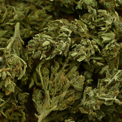 Fleur CBD Euphoria 6% | Arômes Épicés Boisés | Kana Pharma