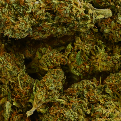 Fleur CBD Sherbet 11% Greenhouse | Arômes Floraux Épicés | Kana Pharma