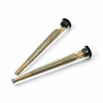 Étui Cône Plastique Transparent x50 | Protection Transport CBD | Kana Pharma