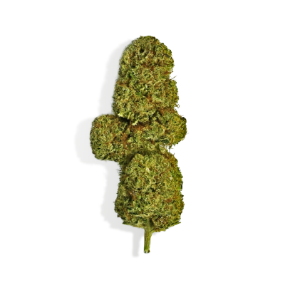 Fleur CBD OG Diamond Indoor Suisse >7% | Arômes Pin Terreux | Kana Pharma