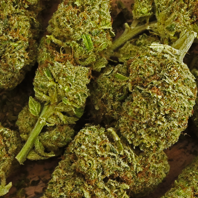 Fleur CBD OG Diamond Indoor Suisse >7% | Arômes Pin Terreux | Kana Pharma